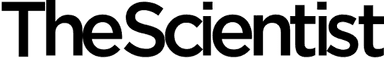 AI Helps Flag Potentially Problematic Journals for the First Time logo