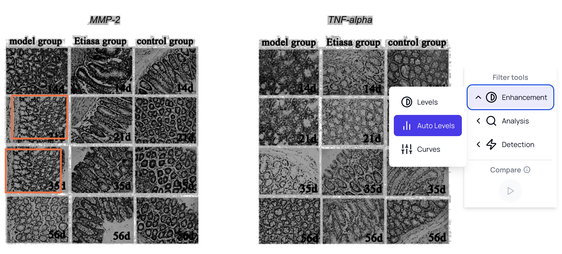 Enhanced Analysis Tools