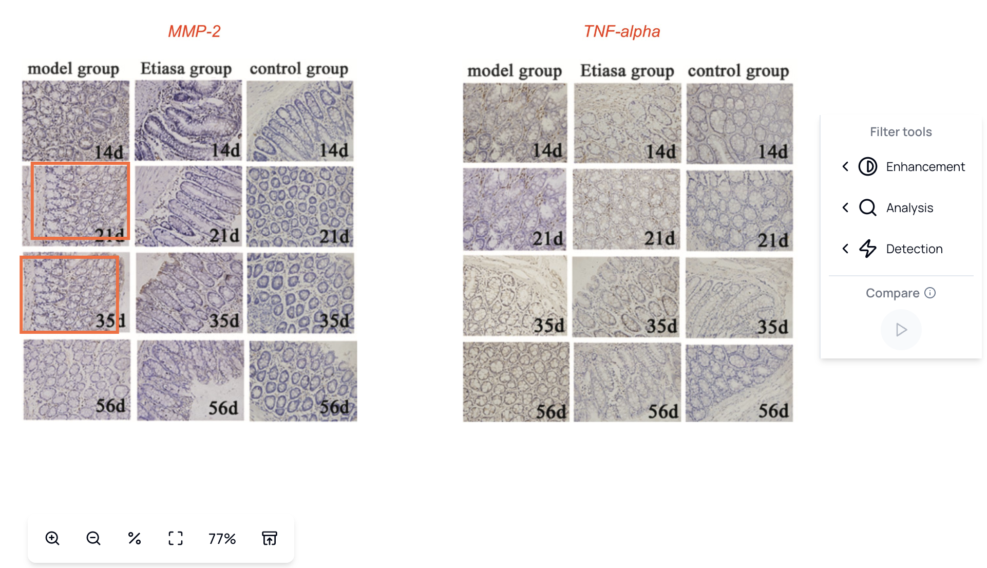 Smart Detection Display